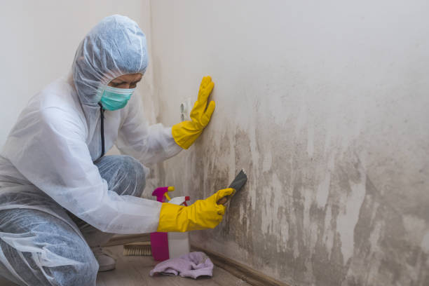 Best Mold Remediation  in Mcfarland, CA