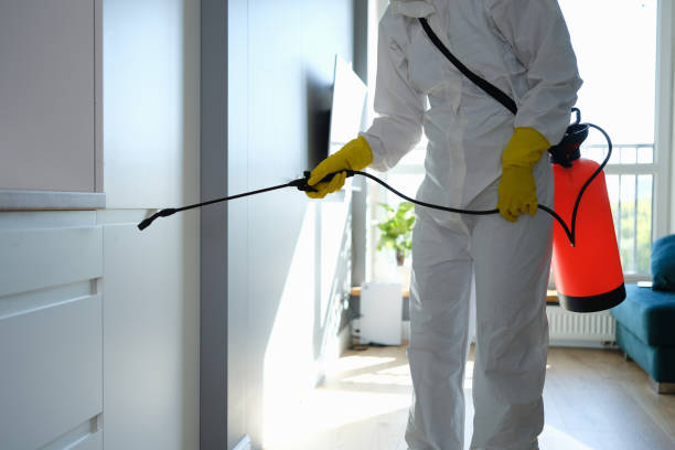 Best Mold Damage Repair  in Mcfarland, CA