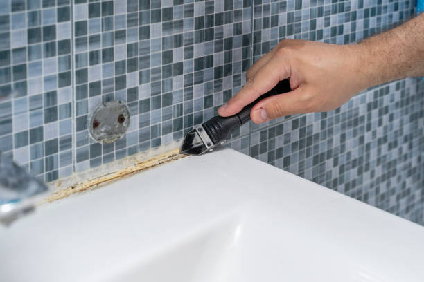 Best Attic Mold Removal  in Mcfarland, CA