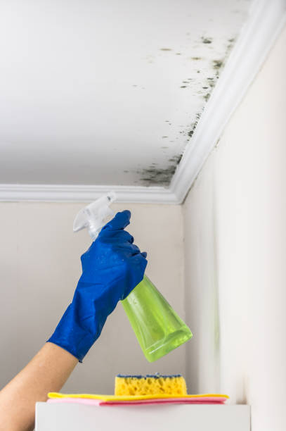 Best Emergency Mold Removal  in Mcfarland, CA
